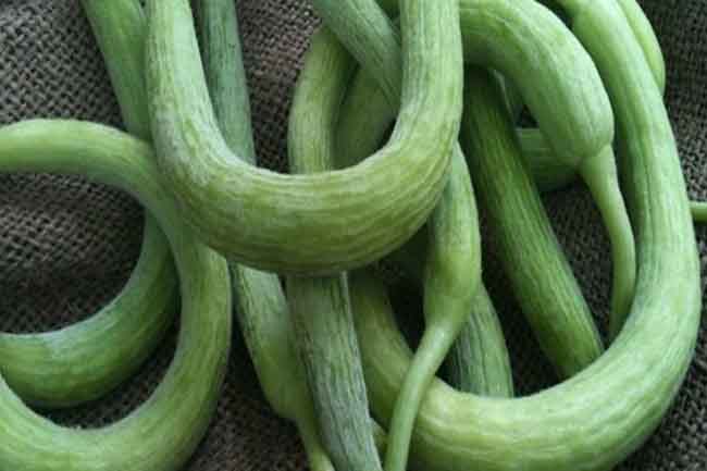 गर्मियों की सौगात ककड़ी